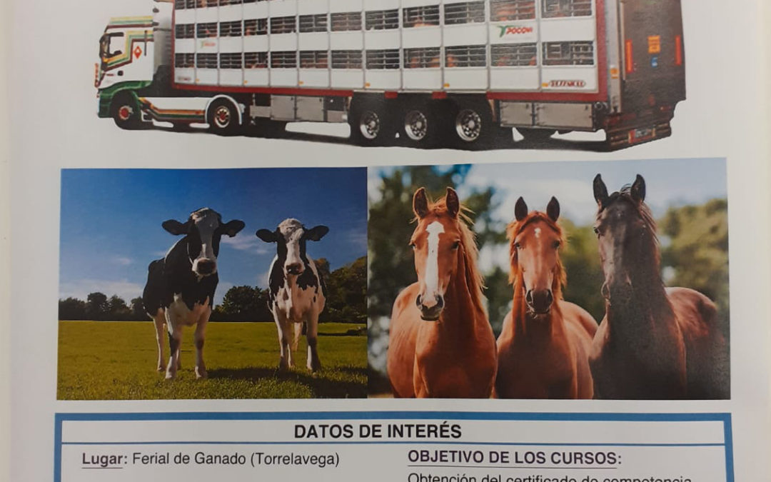 CURSO DE TRANSPORTE DE ANIMALES