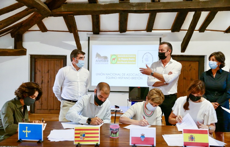 CANTABRIA, ASTURIAS Y ARAGÓN SE UNEN PARA CREAR LA UNIÓN NACIONAL DE ASOCIACIONES DE EQUINO HISPANO BRETÓN