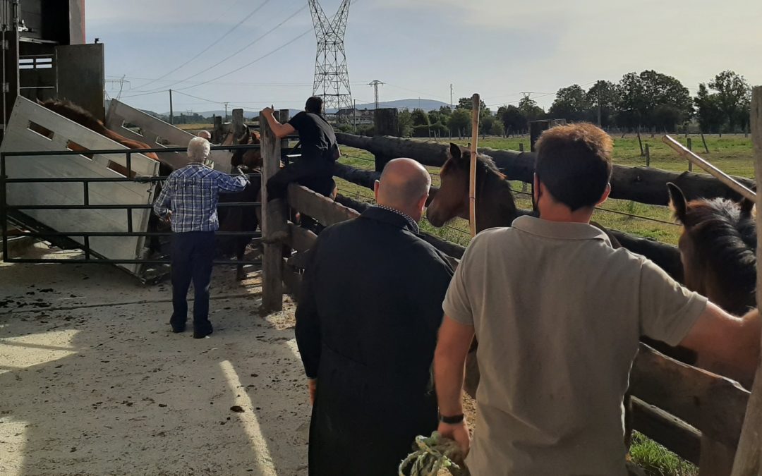 LA ASOCIACIÓN HISPANO BRETONA DE CANTABRIA REALIZA LA PRIMERA CARGA DE GANADO PARA EL CEBADERO DE HNOS. BARBERENA.