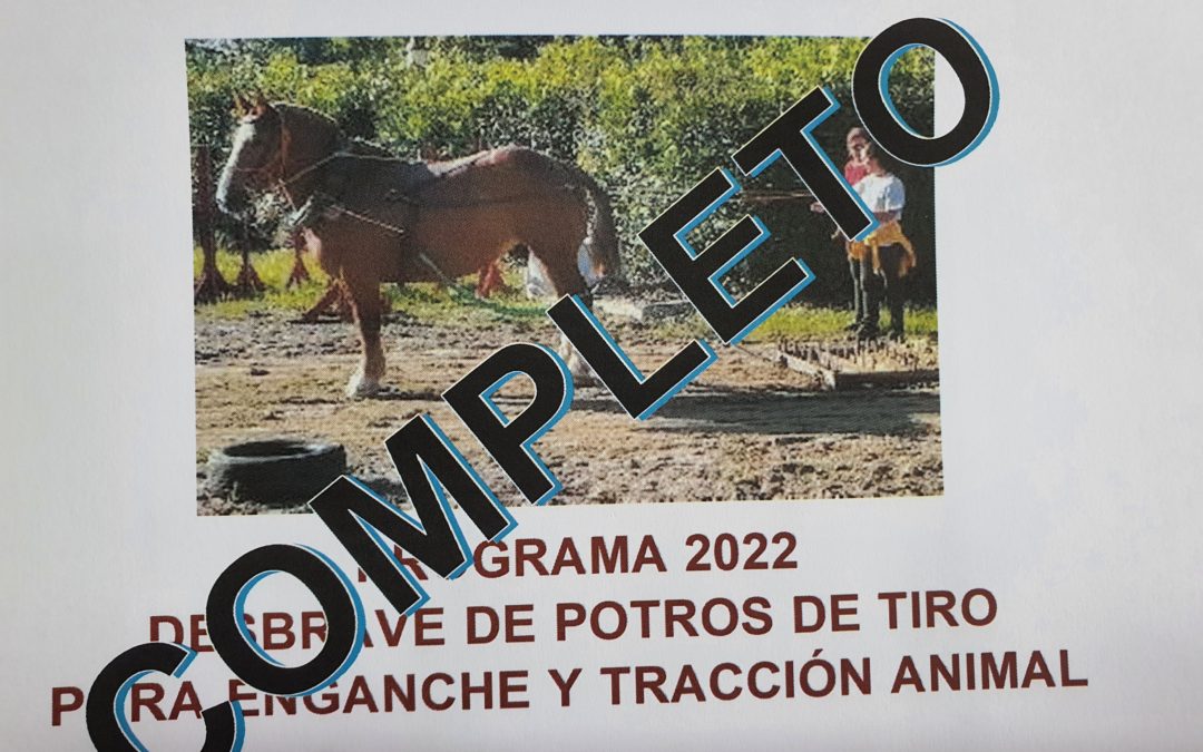 DESBRAVE DE POTROS DE TIRO PARA ENGANCHE Y TRACCION ANIMAL. PROGRAMA 2022
