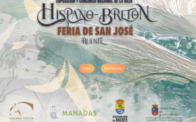 CONCURSO NACIONAL DE LA RAZA EQUINA HISPANO-BRETÓN.